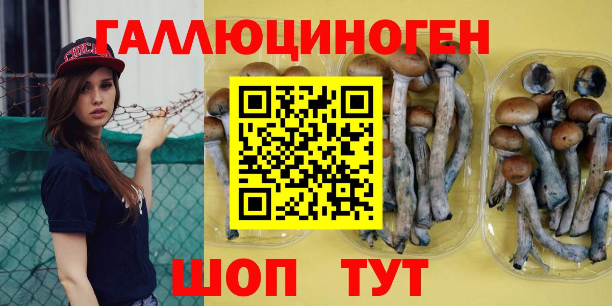 Псилоцибиновые грибы мухоморы  Псилоцибиновые грибы Psilocybine cubensis  Вход с VPN  Лобня 
